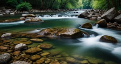 Affetmenin Gücü: Geçmişi Serbest Bırakmak ve İyileşmek