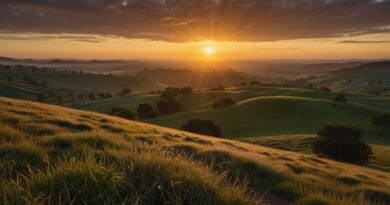 Anlam Arayışı: Hayatınıza Yön Veren Değerleri Keşfetmek